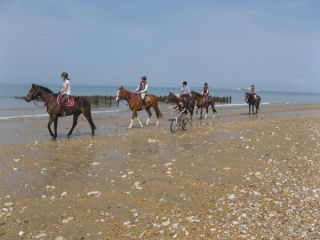  Oleon Horse Outing 